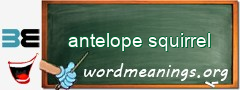 WordMeaning blackboard for antelope squirrel